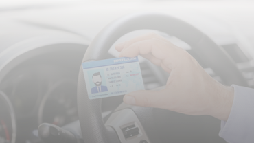 Pillar Content MVR Motor Vehicle Record Search