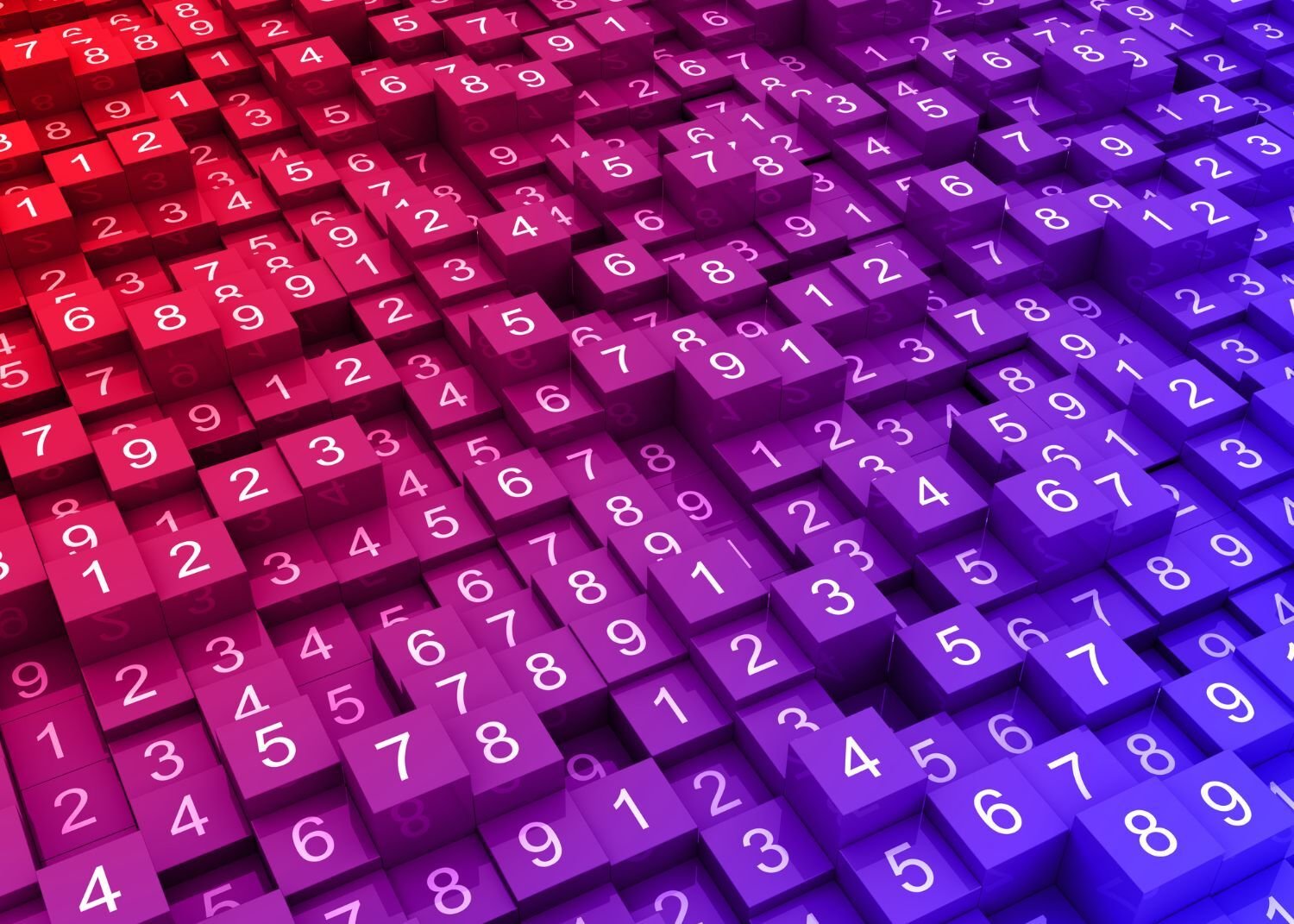 SSN Number Randomization